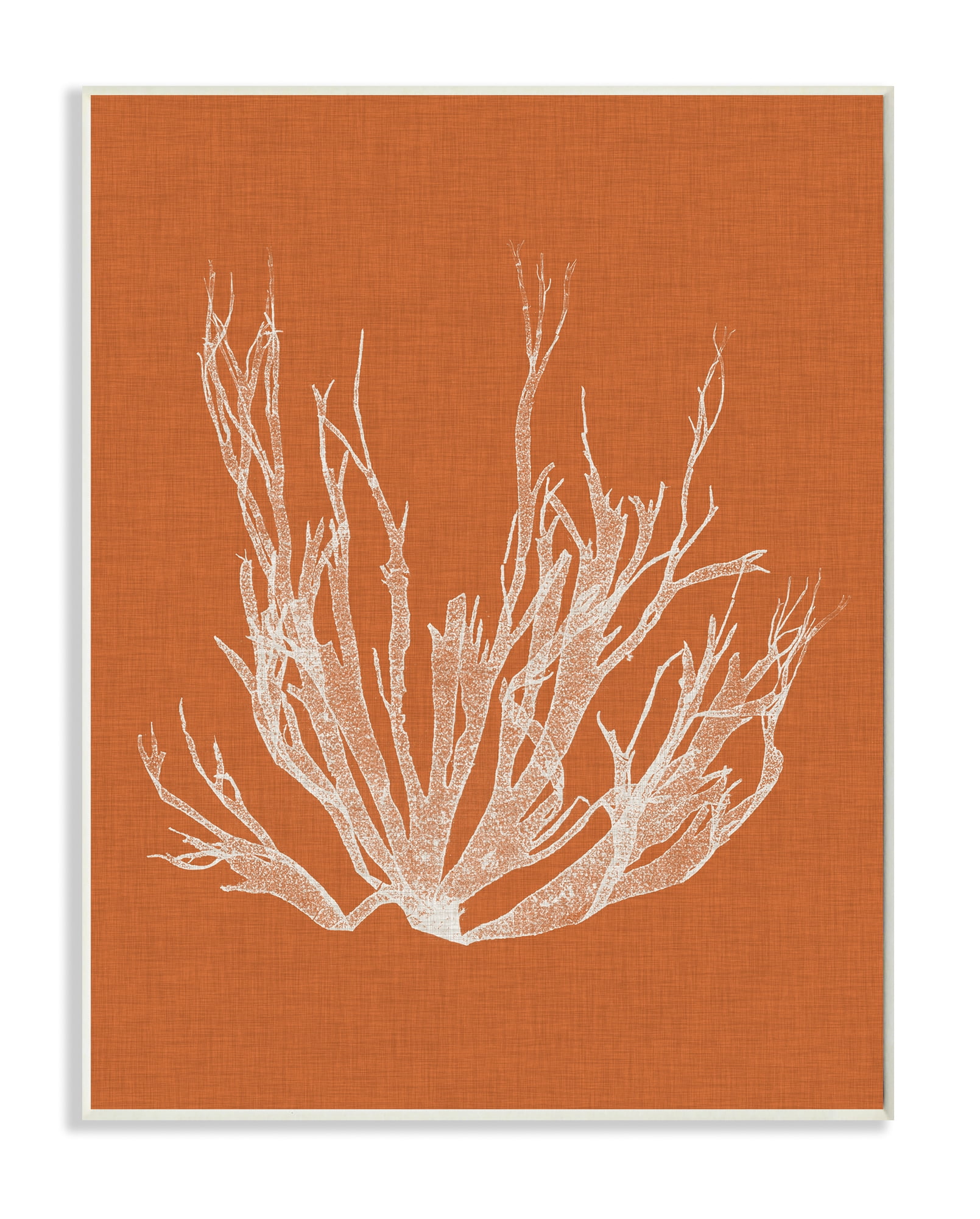 Stupell Home Décor Industries Coral Seaweed Orange White Beach Design Wood Plaque by Vision Studio