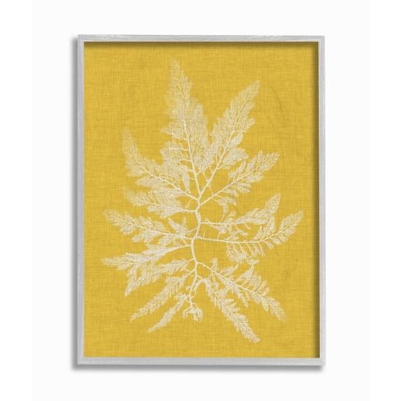 Stupell Home Décor Industries Coral Seaweed Yellow White Beach Design Framed Wall Art by Vision Studio