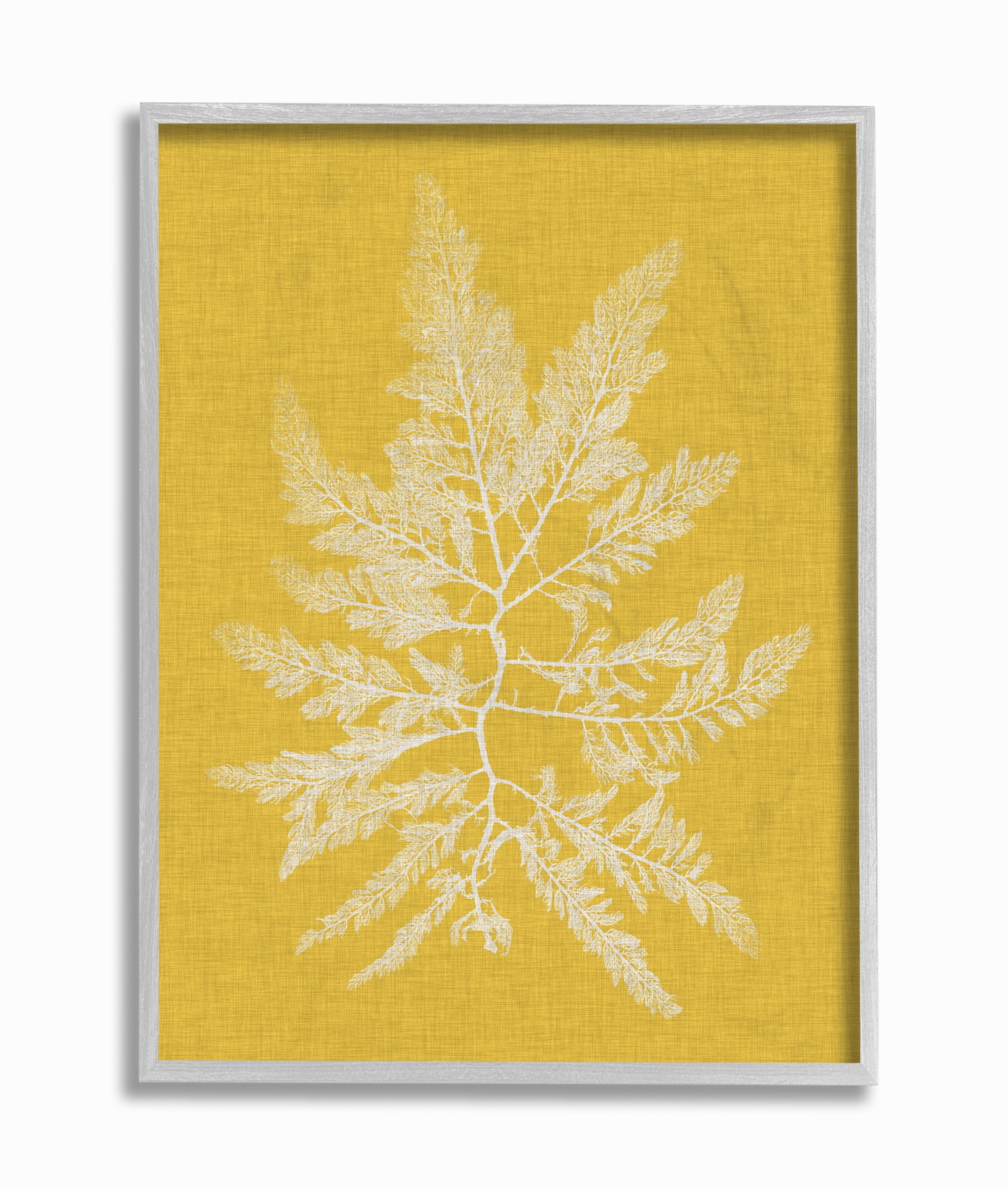 Stupell Home Décor Industries Coral Seaweed Yellow White Beach Design Framed Wall Art by Vision Studio