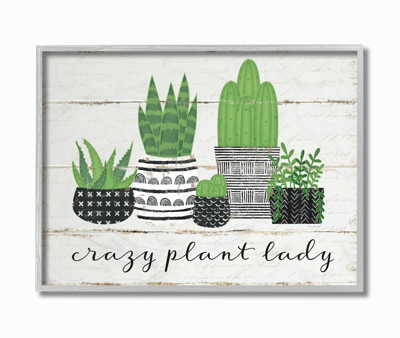 Stupell Home Décor Industries Crazy Plant Lady Cacti Succulents Wood Textured Design Framed Wall Art by Jennifer Pugh
