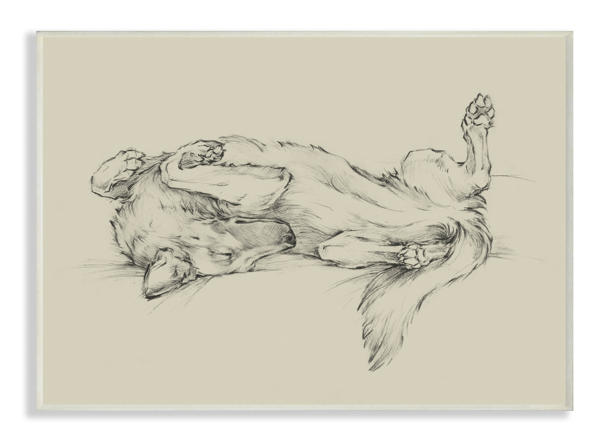 Stupell Home Décor Industries Dog Napping Animal Pet Drawing Wood Plaque by Ethan Harper