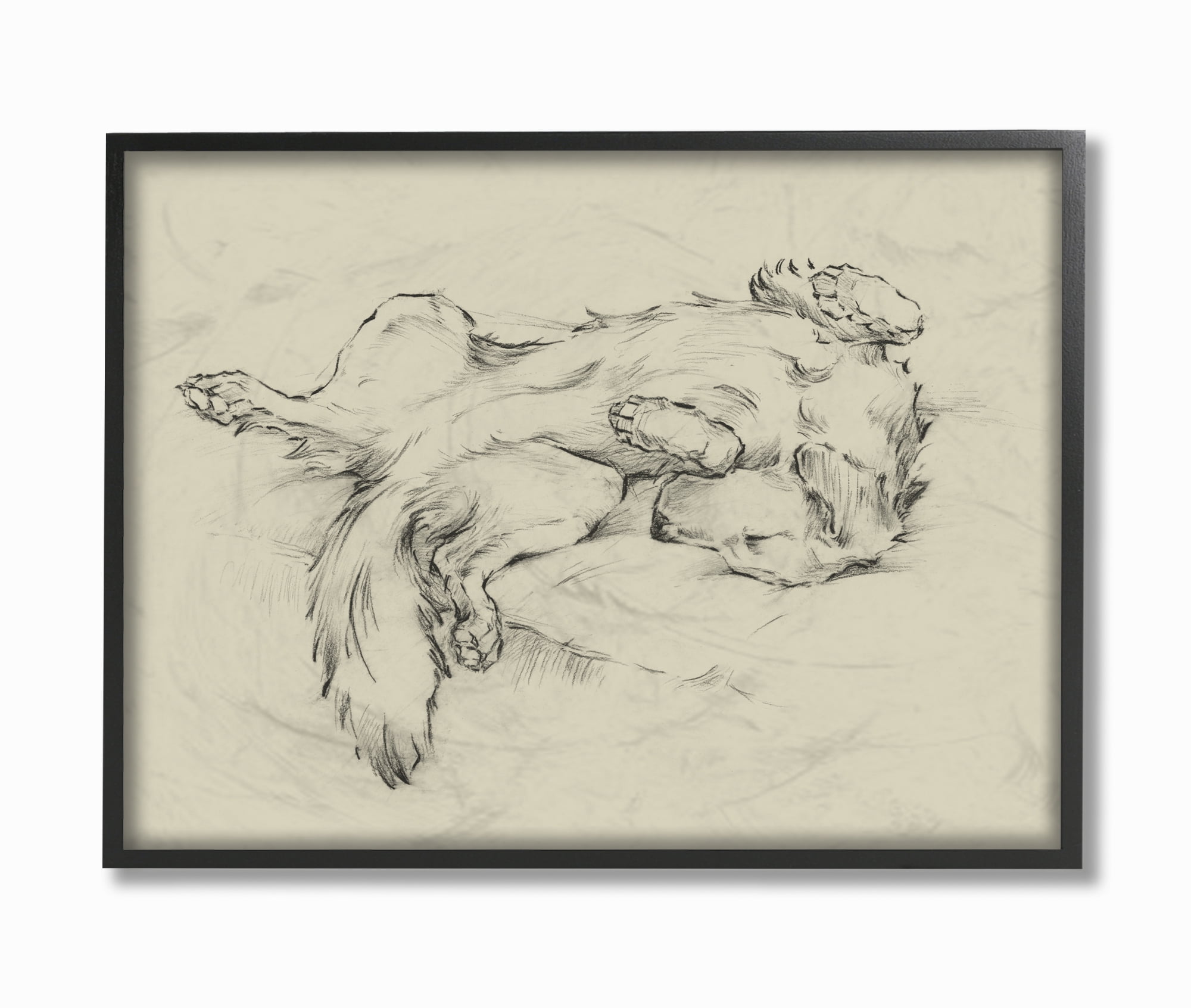 Stupell Home Décor Industries Dog Napping Pet Animal Drawing Framed Wall Art by Ethan Harper