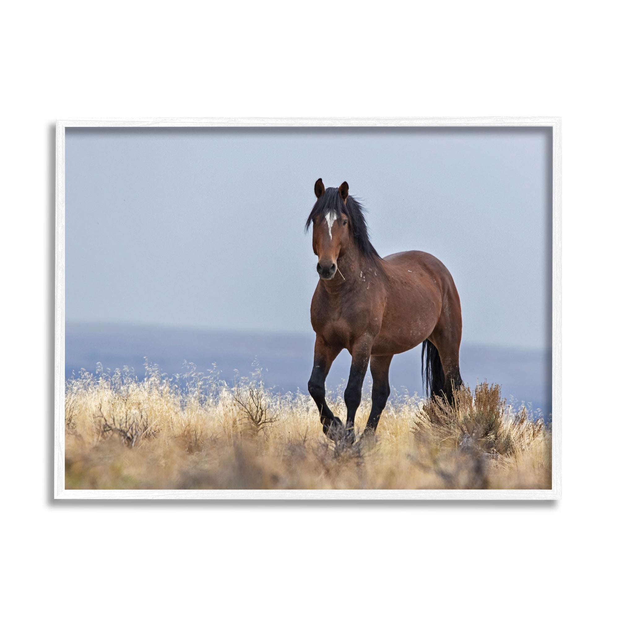 Stupell Home Décor Industries Equestrian Horse in Wild Countryside Soft Blue Sky, 11 x 14, Designed by Larry McFerrin