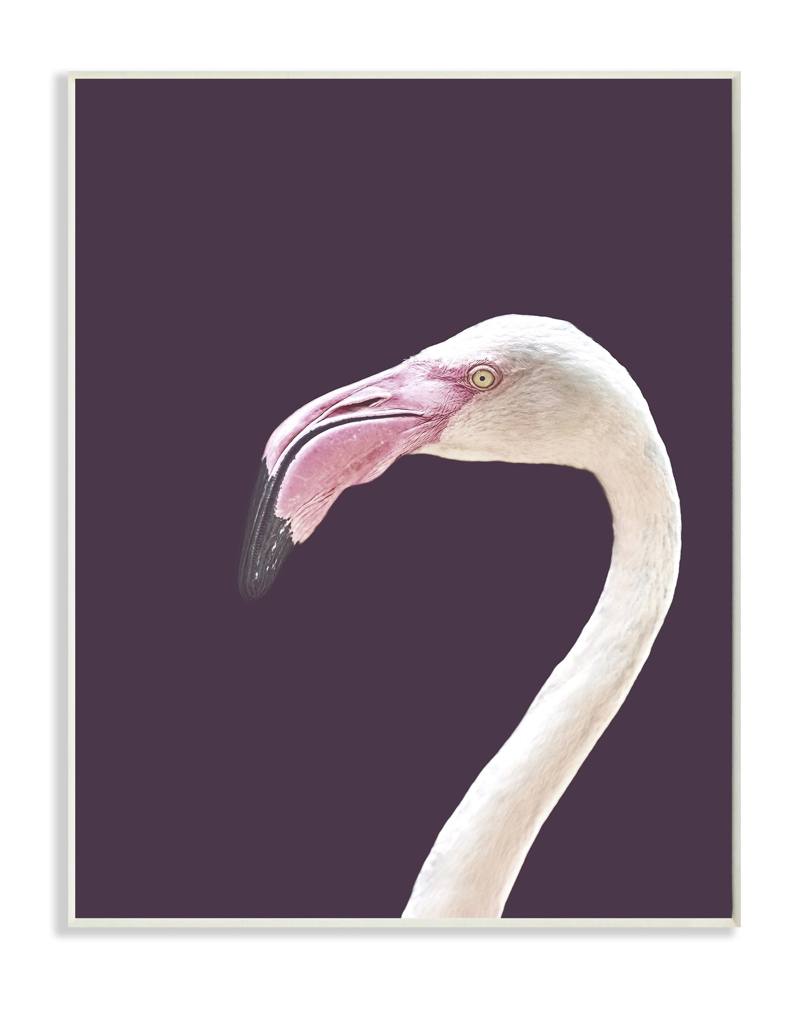 Stupell Home Décor Industries Flamingo Pink Purple Portrait Design Wood Plaque by Design Fabrikken