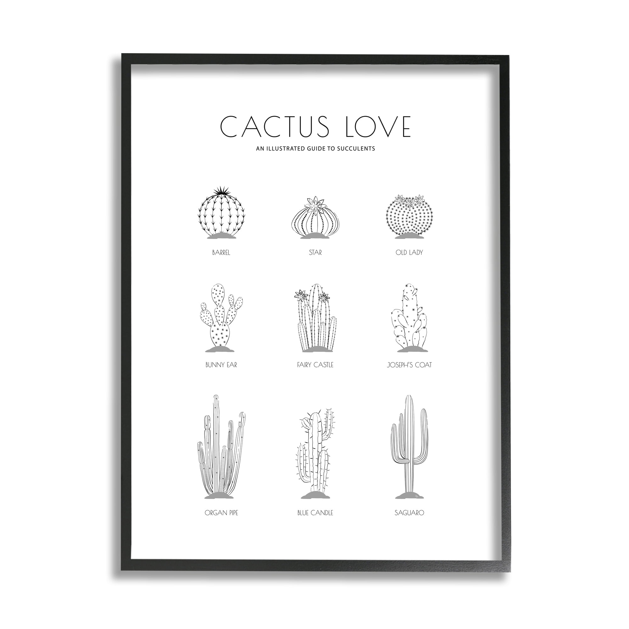 Stupell Home Décor Industries Illustrated Guide to Succulents Minimal Modern Cactus Plant, 11 x 14, Designed by Martina Pavlova