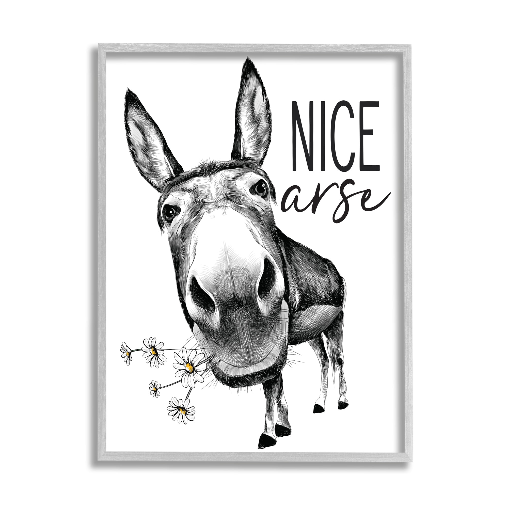 Stupell Home Décor Industries Nice Ares Funny Donkey Pun White Daisey Flowers, 24 x 30, Designed by Lettered and Lined