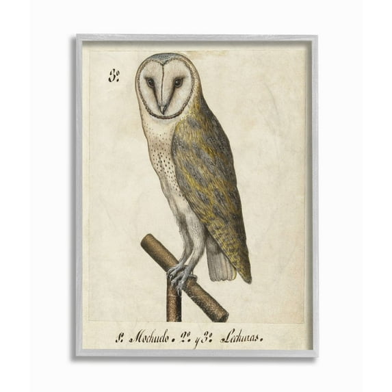 Stupell Home Décor Industries Owl Drawing Vintage Paper Animal Bird Design Framed Wall Art by Unknown