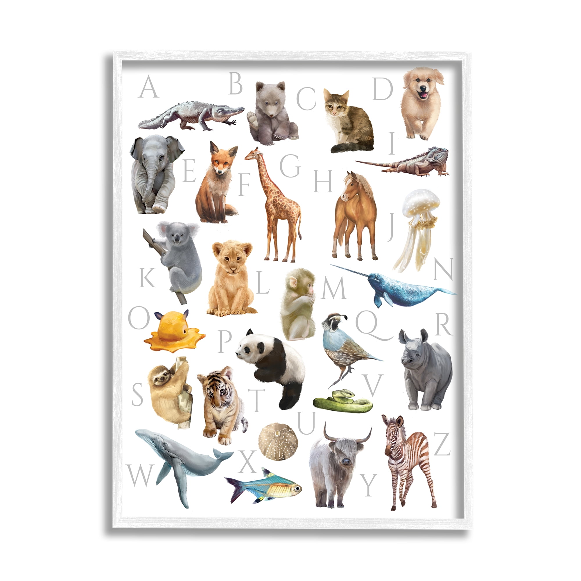 Stupell Home Décor Industries Traditional ABC Alphabet Animals of the World, 11 x 14, Designed by Ziwei Li