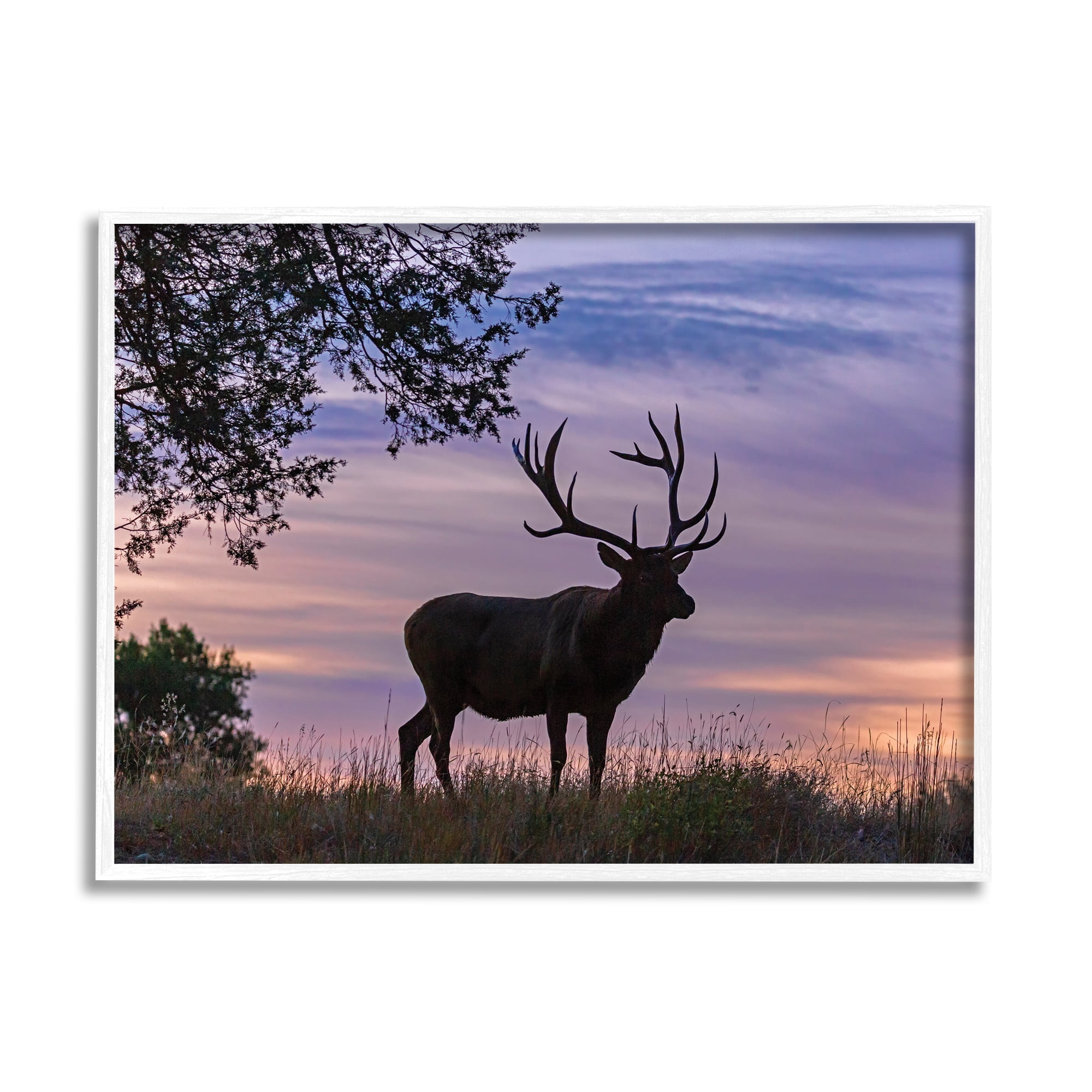 Stupell Home Décor Industries Wild Elk Sunrise Forest Animal Antlers Morning Sky, 11 x 14, Designed by Larry McFerrin