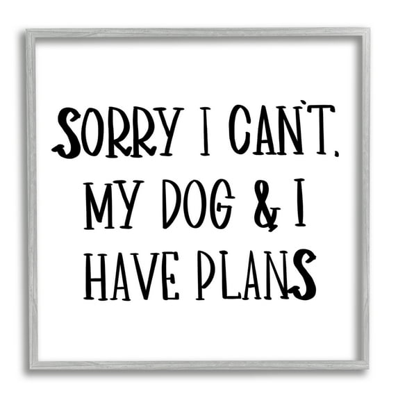 Stupell Home Décor My Dog And I Have Plans Pet Humor Phrase, 24 x 24, Designed by Sd Graphics Studio, Gray Frame