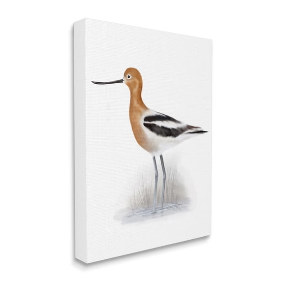 Stupell Industries Orange Avocet Marshland Bird Black Stripe Wings, 36 x 48, Designed by Studio Q
