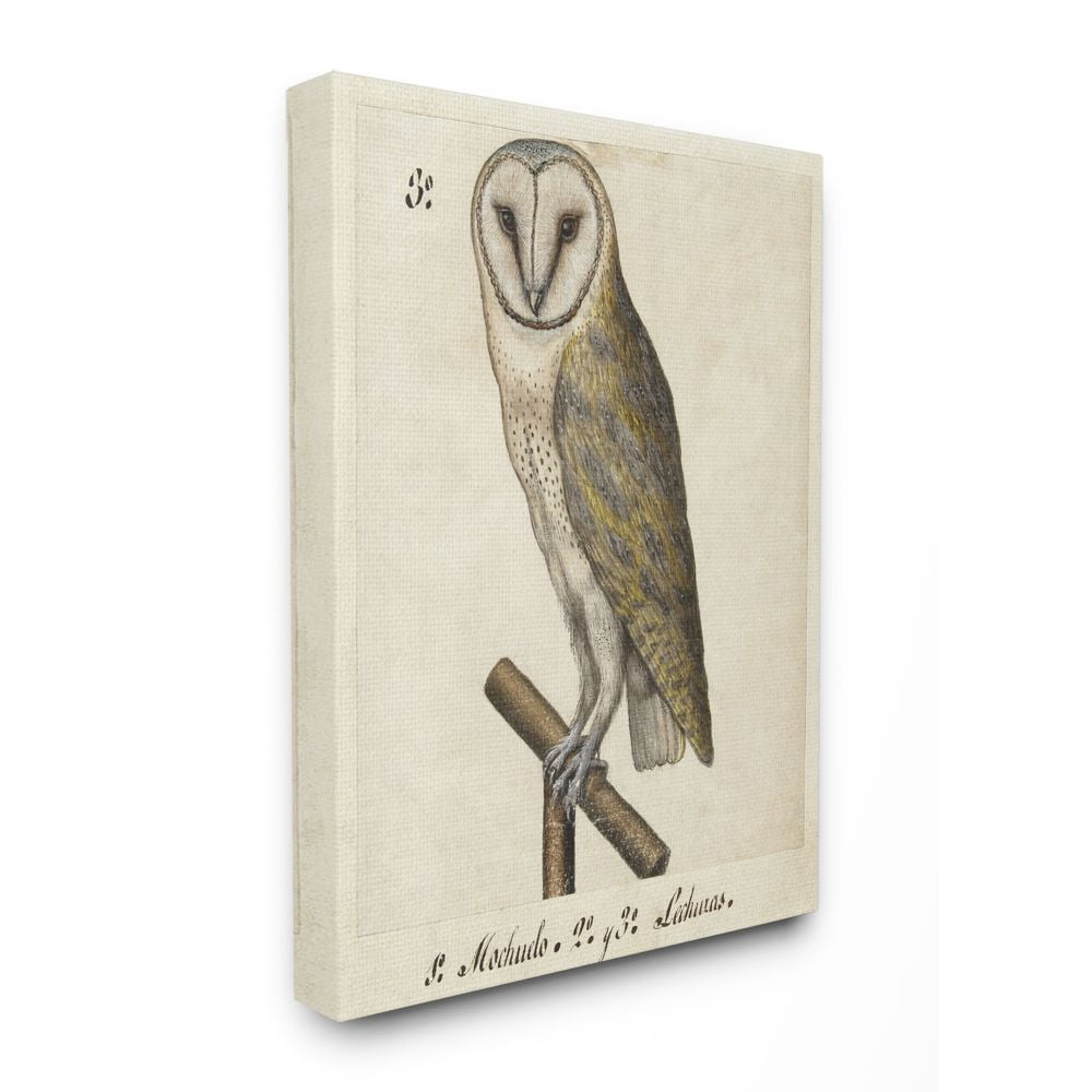 Stupell Home Décor Owl Drawing Vintage Paper Animal Bird Design Canvas Wall Art by Unknown