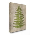 thumbnail image 1 of Stupell Home Décor Plant Drawing Green Parchment Design Canvas Wall Art by Ziwei Li, 1 of 1