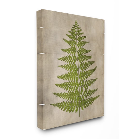 Stupell Home Décor Plant Drawing Green Parchment Design Canvas Wall Art by Ziwei Li