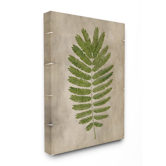 Stupell Home Décor Plant Drawing Parchment Green Design Canvas Wall Art by Ziwei Li
