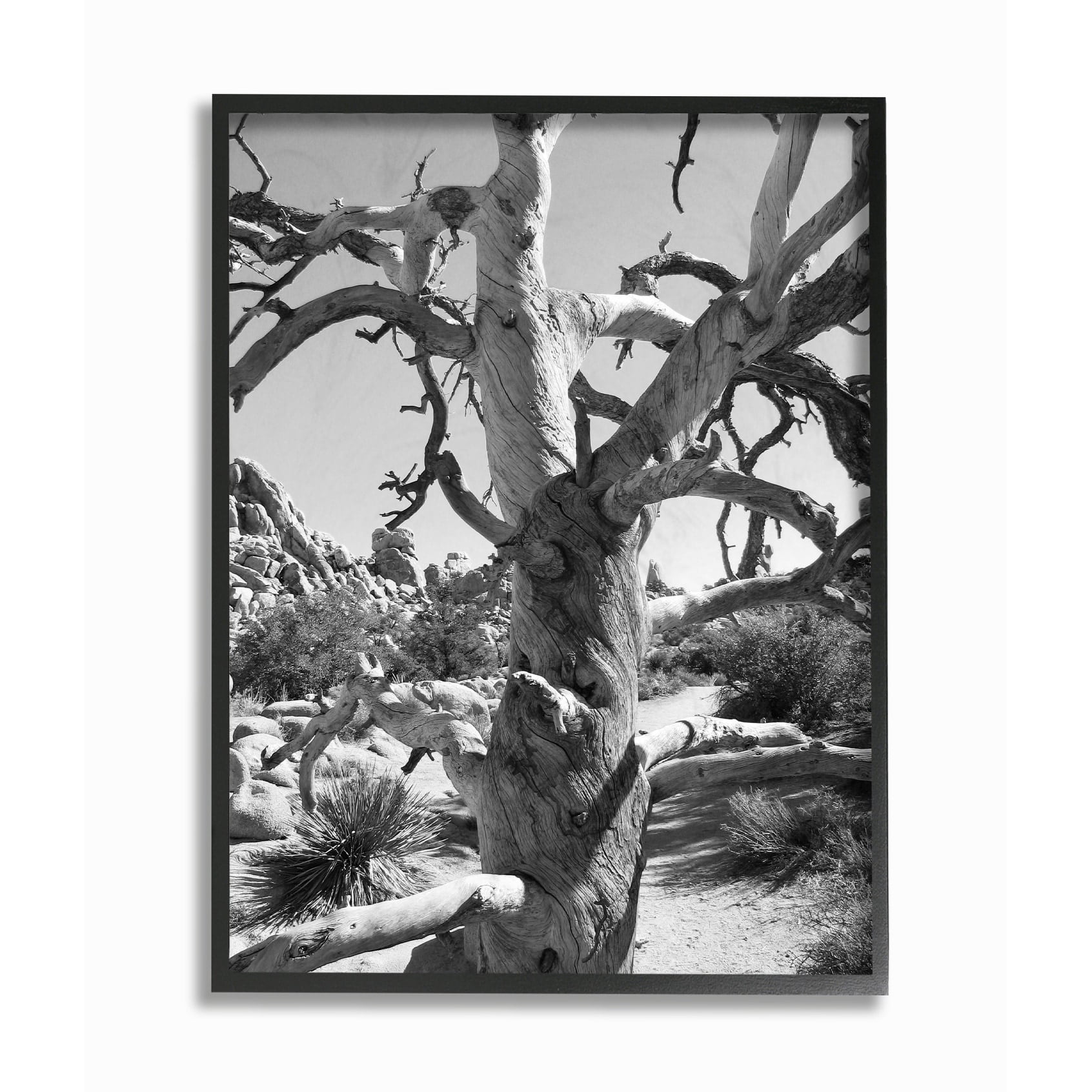 Stupell Home Décor Print Classic Framed Art Print, by In House Art