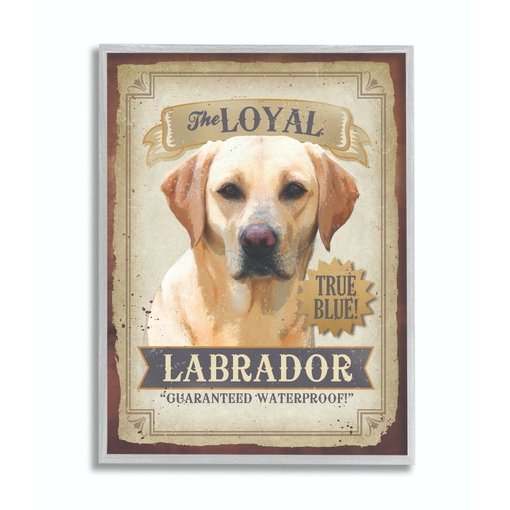 Stupell Home Décor Printed Framed Art Prints, by Retrorocket Studio