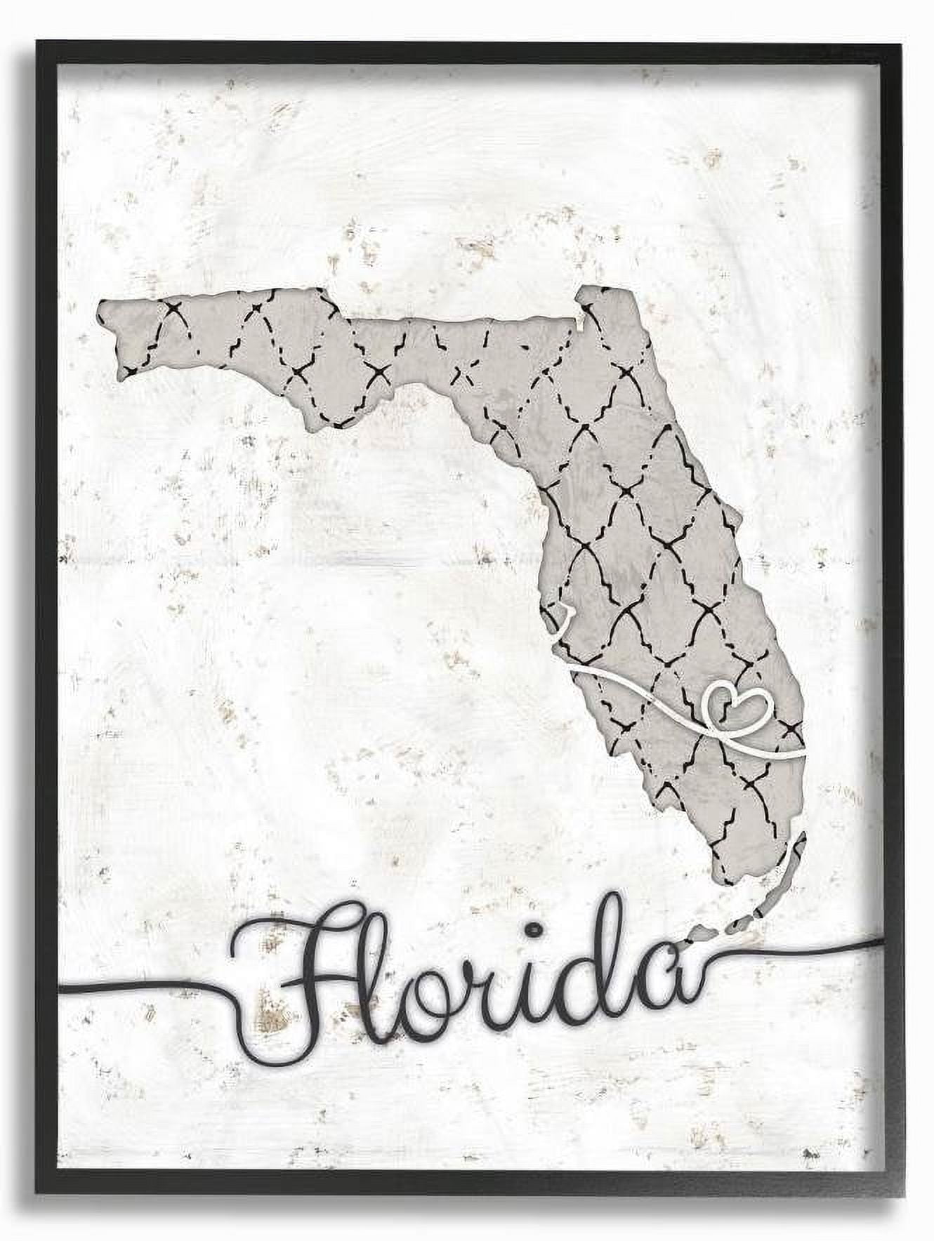 Stupell Industries Florida Patterned Grey US State Design Framed Wall Art by Ziwei Li