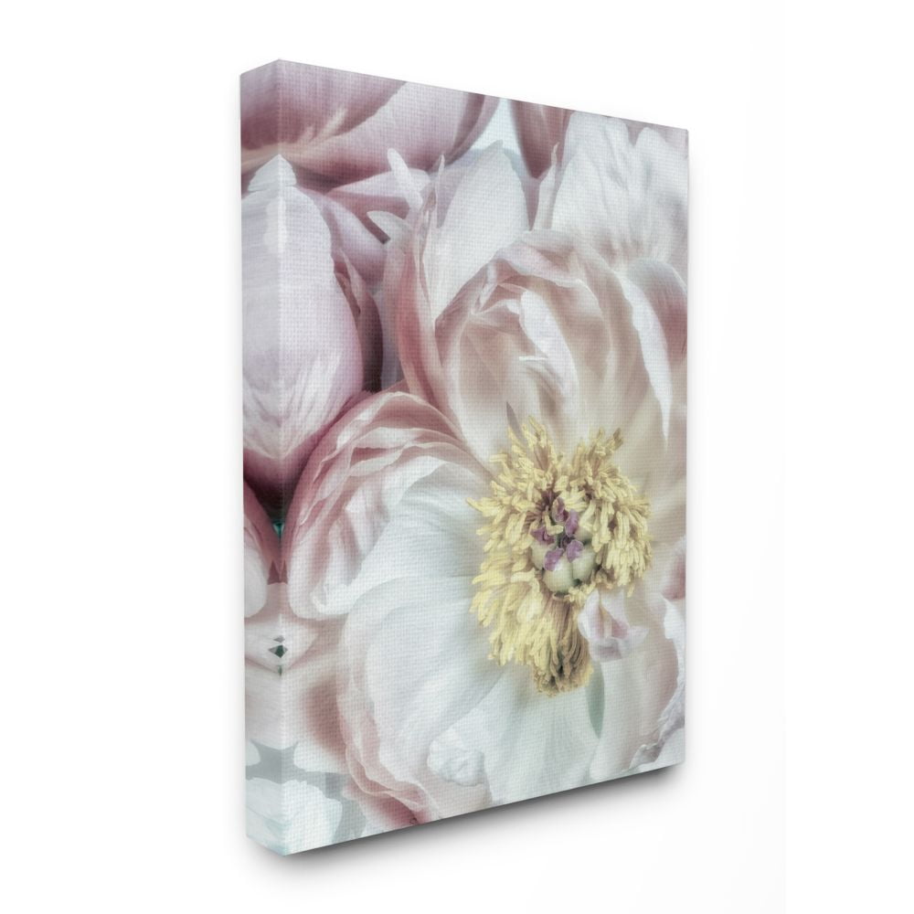 Stupell Home Décor Soft Flower Bloom Neutral Pink White Photograph Canvas Wall Art by Dianne Poinski