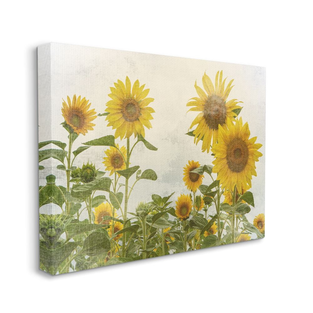 Stupell Home Décor Sunflower Garden Farm Burlap Textured Design Canvas Wall Art by Ann Bailey