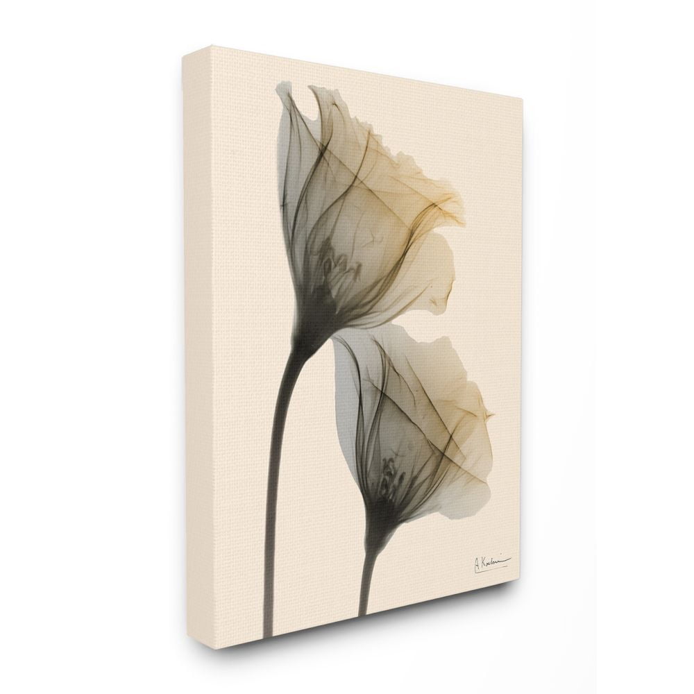 Stupell Home Decor Framed Canvas Art Print, 16" x 1.5"