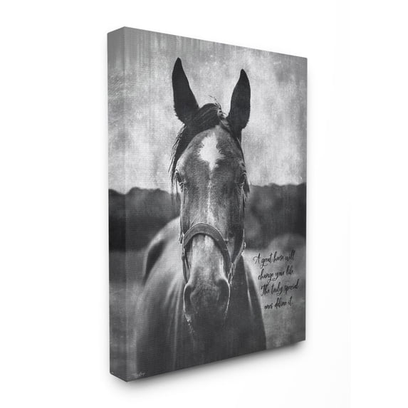 Stupell Home Decor Framed Canvas Art Print, 17" x 2"