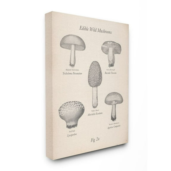 Stupell Home Decor Framed Canvas Art Print, 31" x 2", by The Saturday Evening Post