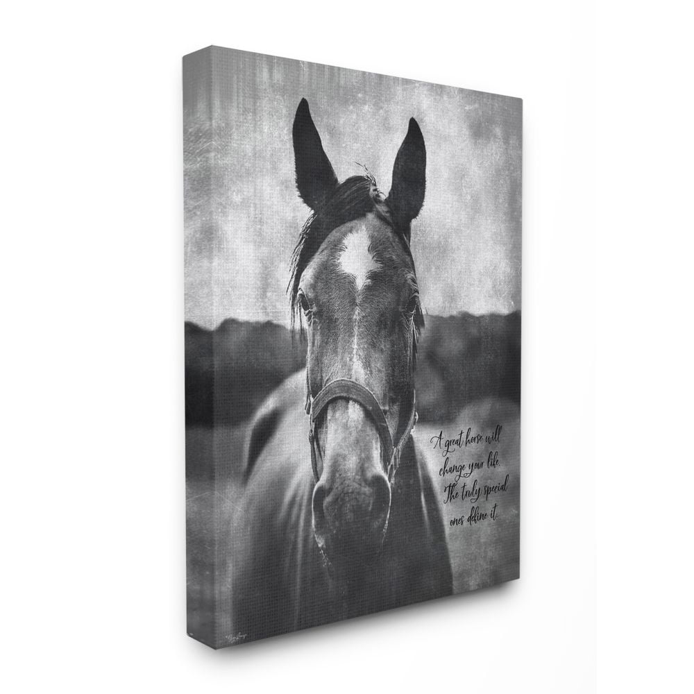 Stupell Home Decor Framed Canvas Art Print, 36" x 1.5"