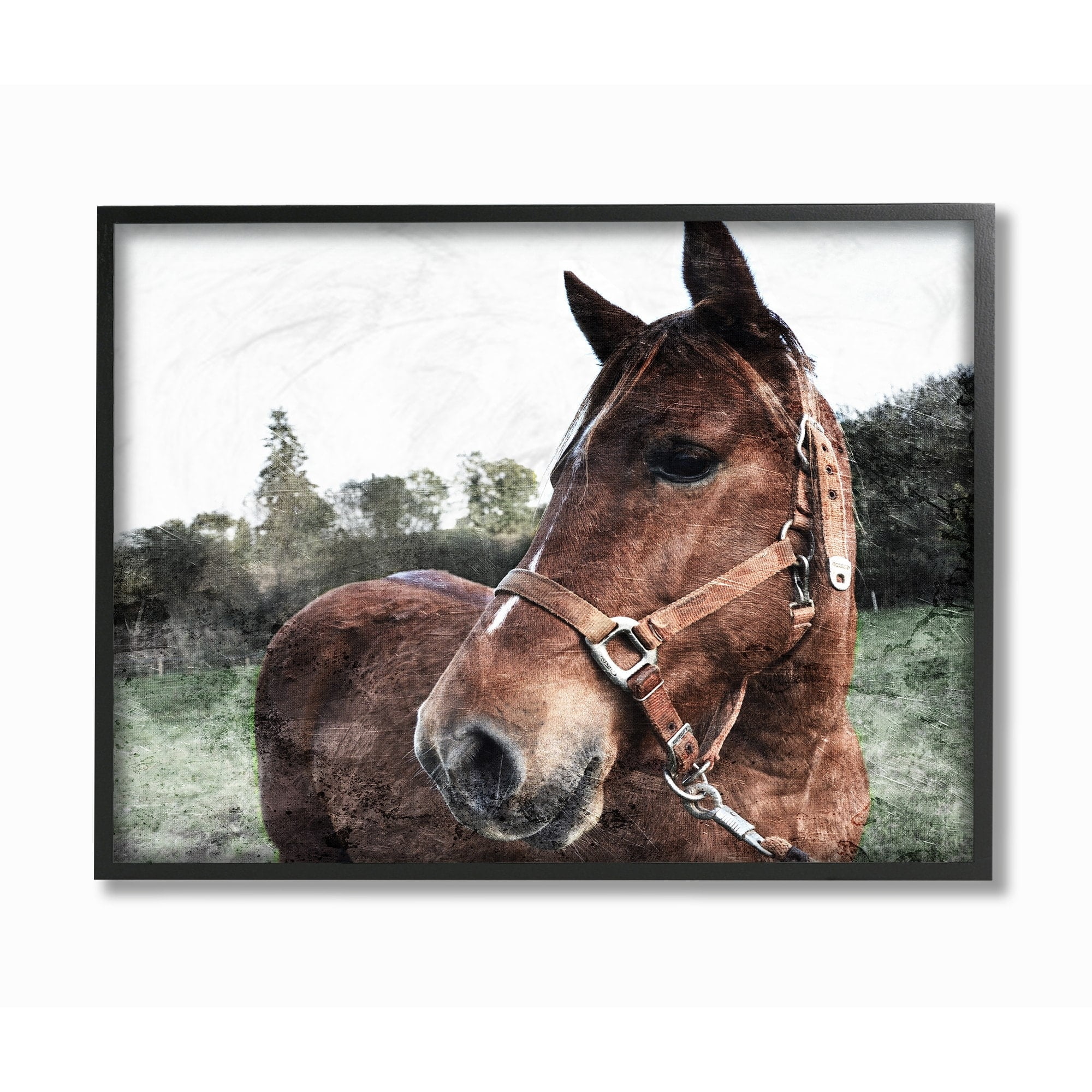 Stupell Horse Posing In Field Framed Giclee Wall Art 11 x 14