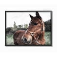 thumbnail image 1 of Stupell Horse Posing In Field Framed Giclee Wall Art 11 x 14, 1 of 5