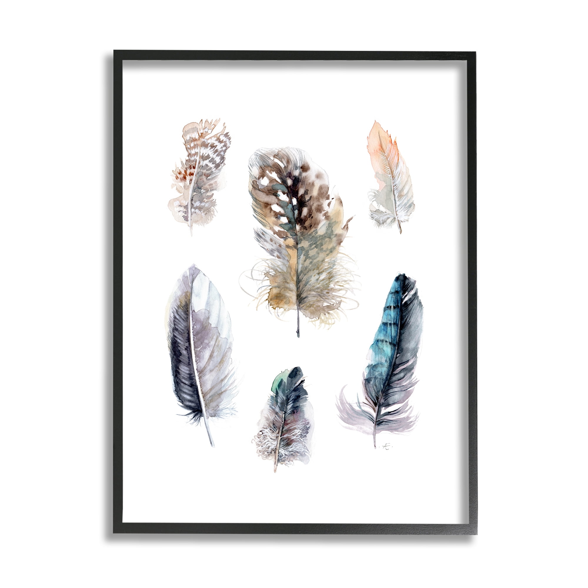 Stupell Indtries Arrangement of Feathers Soft Watercolor Bird Patterns,11 x 14,Design by Verbrugge Watercolor