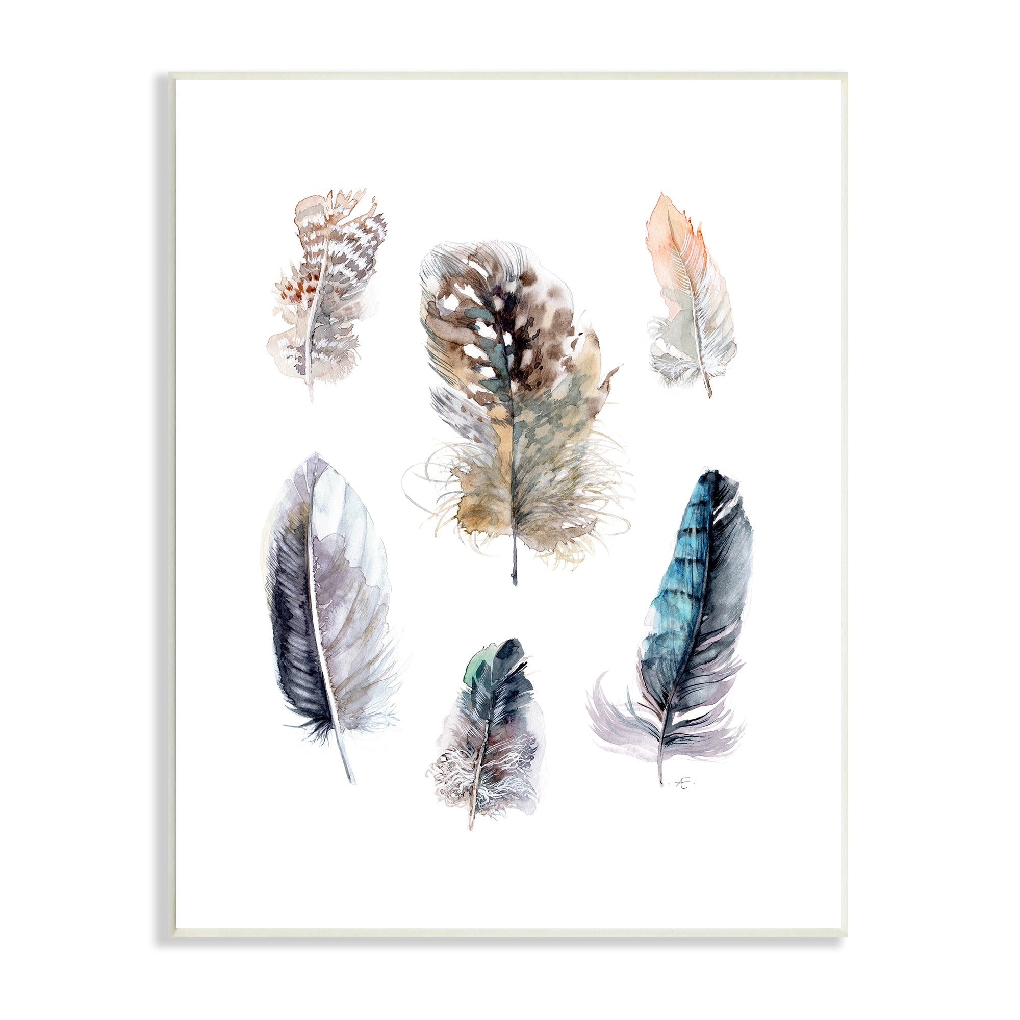 Stupell Indtries Arrangement of Feathers Soft Watercolor Bird Patterns,13 x 19,Design by Verbrugge Watercolor
