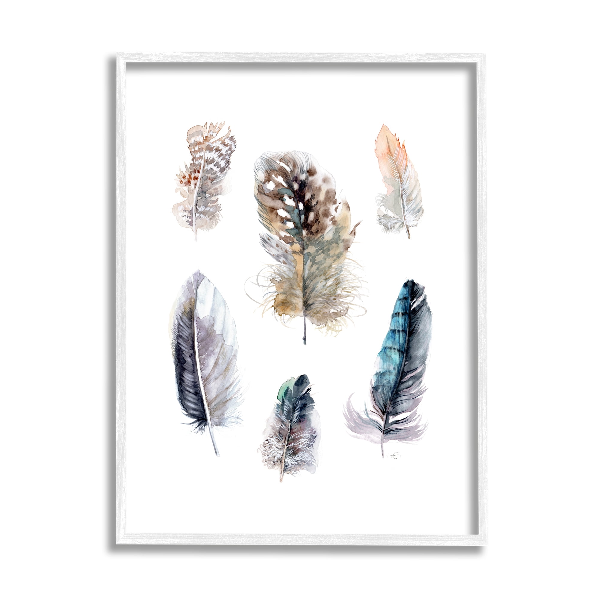 Stupell Indtries Arrangement of Feathers Soft Watercolor Bird Patterns,16 x 20,Design by Verbrugge Watercolor