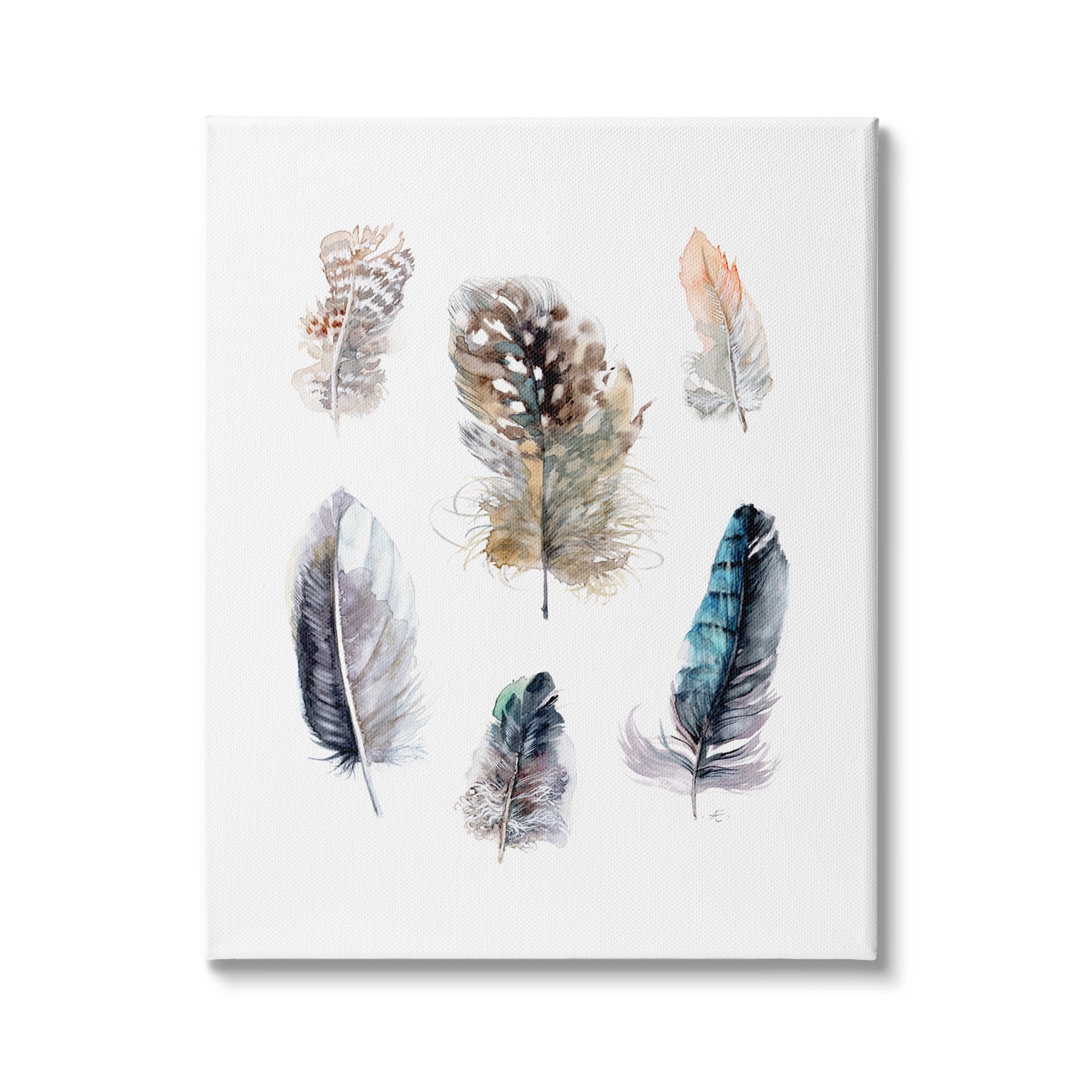 Stupell Indtries Arrangement of Feathers Soft Watercolor Bird Patterns,24 x 30,Design by Verbrugge Watercolor