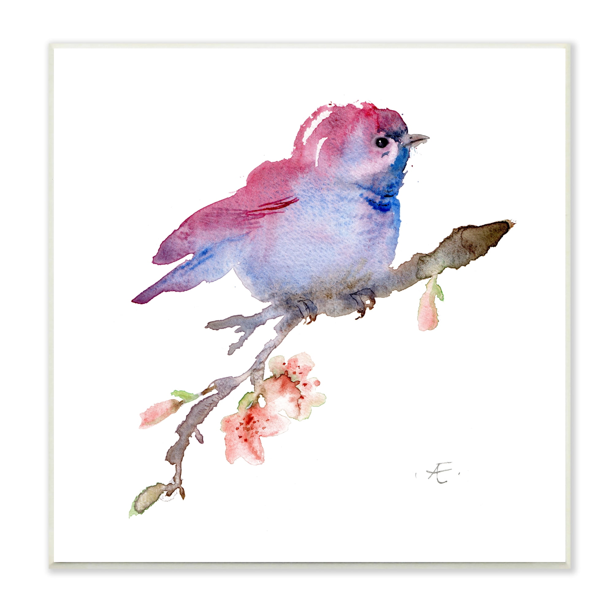 Stupell Indtries Baby Bird Blooming Spring Blossom Tree Branch ,12 x 12,Design by Verbrugge Watercolor