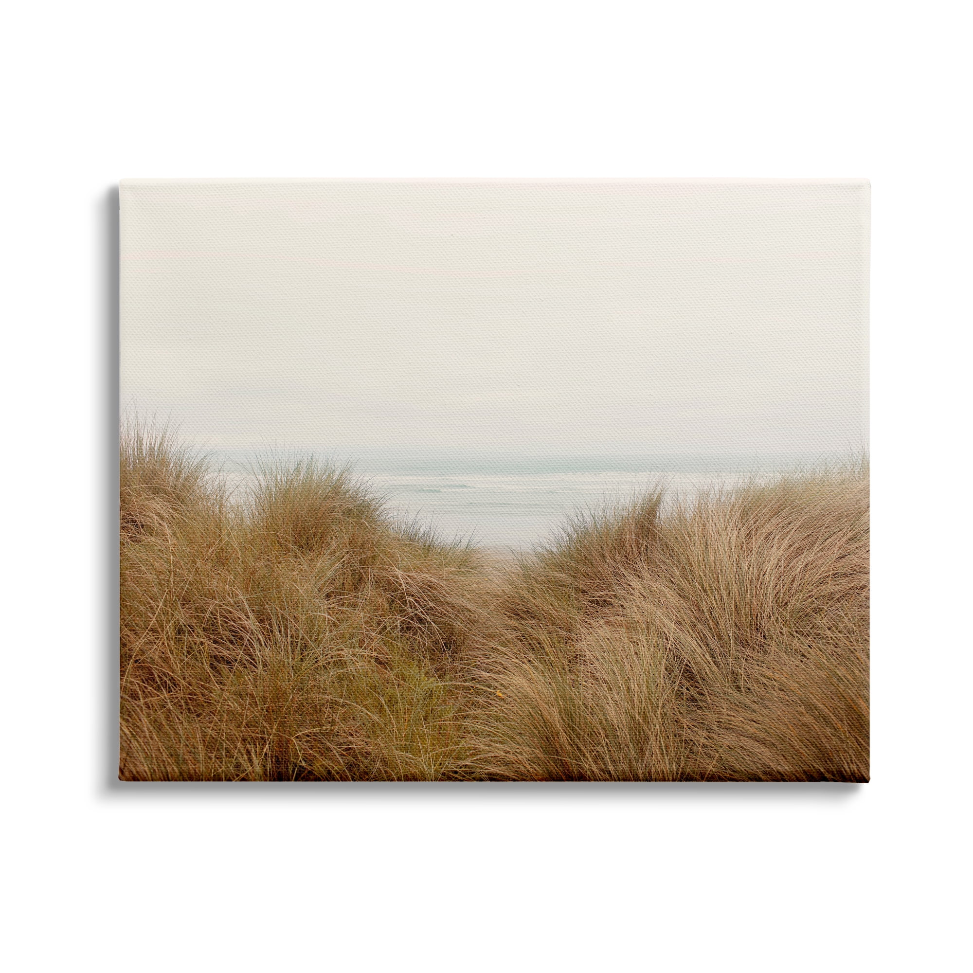 Stupell Indtries Beach Behind Tall Grass Sun Bleached Ocean Landscape,20 x 16,Design by Ian Winstanley