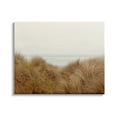 thumbnail image 1 of Stupell Indtries Beach Behind Tall Grass Sun Bleached Ocean Landscape,48 x 36,Design by Ian Winstanley, 1 of 6