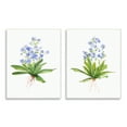 thumbnail image 1 of Stupell Indtries Bluebird Garden Floral Bunch Spring Flower Bouquets,13 x 19,Design by Sally Swatland, 1 of 6