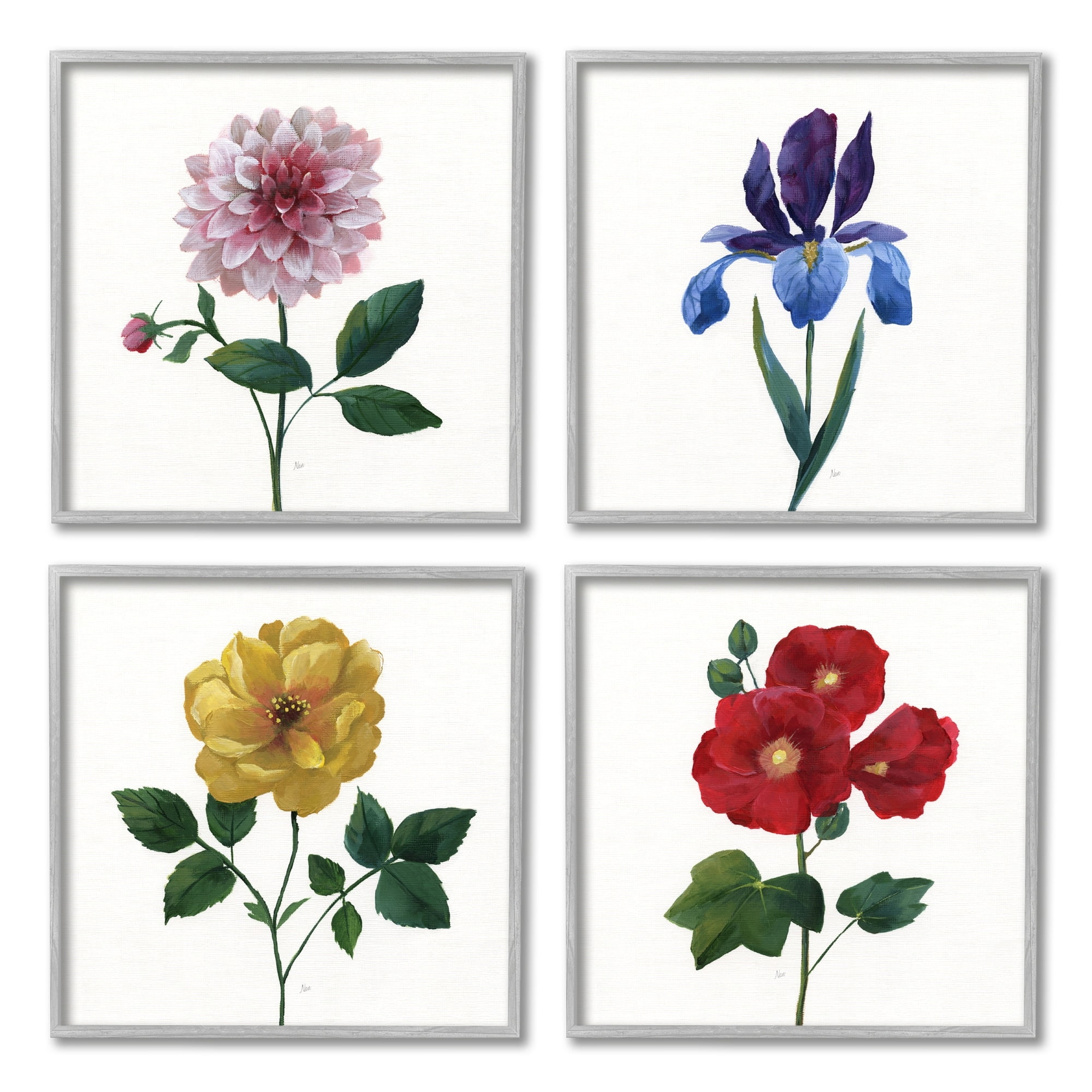 Stupell Indtries Bold Florals Blossoming Poppy Iris Dahlia Spring Flowers,12 x 12,Design by Nan