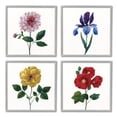 thumbnail image 1 of Stupell Indtries Bold Florals Blossoming Poppy Iris Dahlia Spring Flowers,12 x 12,Design by Nan, 1 of 5