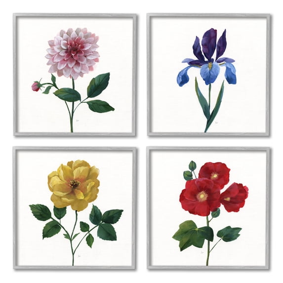 Stupell Indtries Bold Florals Blossoming Poppy Iris Dahlia Spring Flowers,12 x 12,Design by Nan