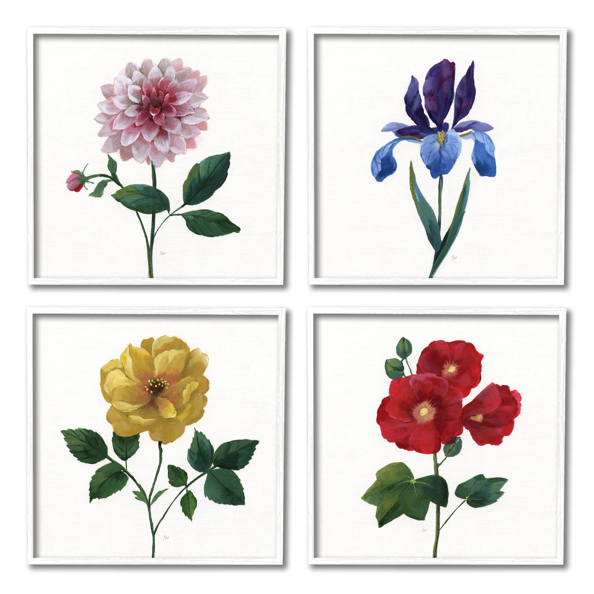 Stupell Indtries Bold Florals Blossoming Poppy Iris Dahlia Spring Flowers,12 x 12,Design by Nan
