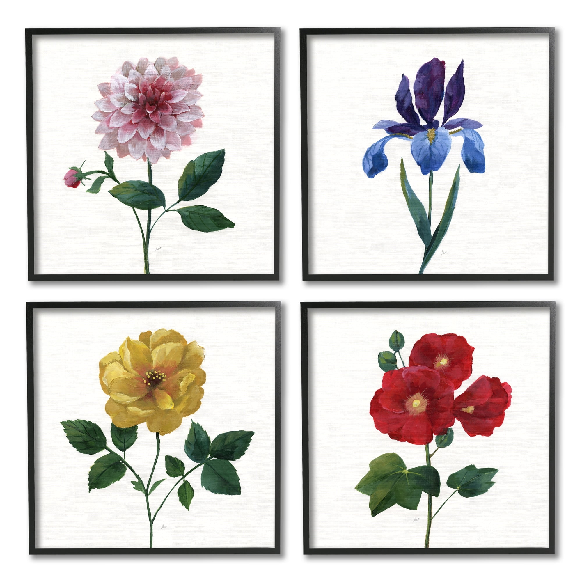 Stupell Indtries Bold Florals Blossoming Poppy Iris Dahlia Spring Flowers,12 x 12,Design by Nan