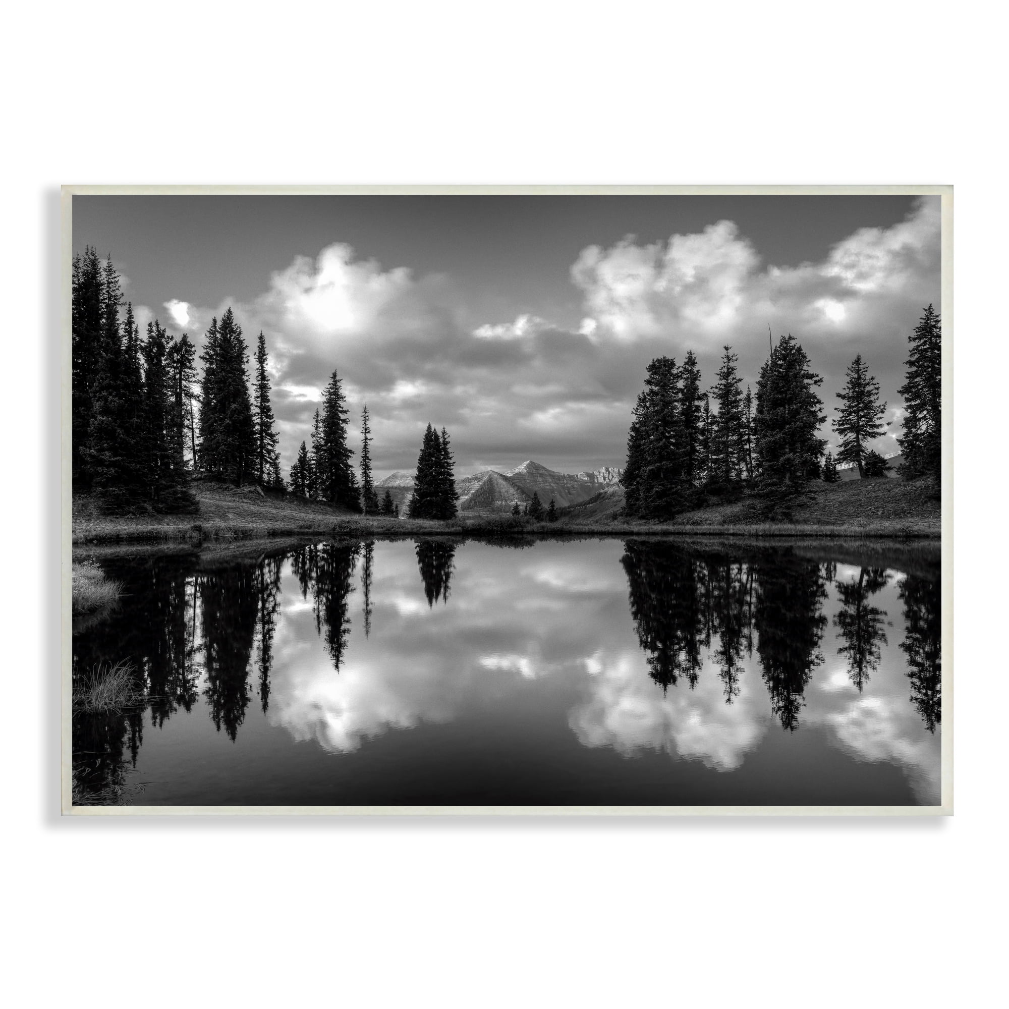 Stupell Indtries Cloudy Lake Mountain Reflection Tall Pines Photography Landscape,15 x 10,Design by J.C. Leacock