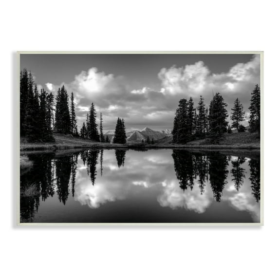 Stupell Indtries Cloudy Lake Mountain Reflection Tall Pines Photography Landscape,15 x 10,Design by J.C. Leacock