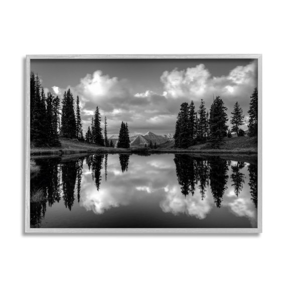 Stupell Indtries Cloudy Lake Mountain Reflection Tall Pines Photography Landscape,20 x 16,Design by J.C. Leacock