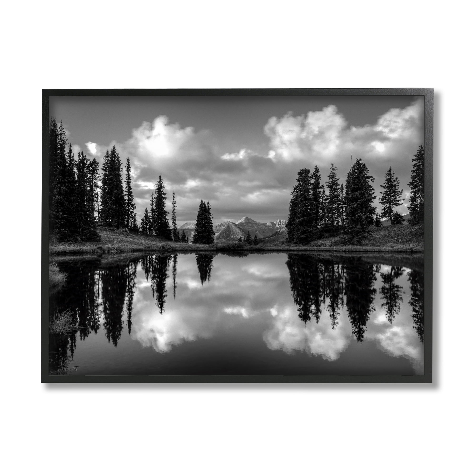 Stupell Indtries Cloudy Lake Mountain Reflection Tall Pines Photography Landscape,20 x 16,Design by J.C. Leacock