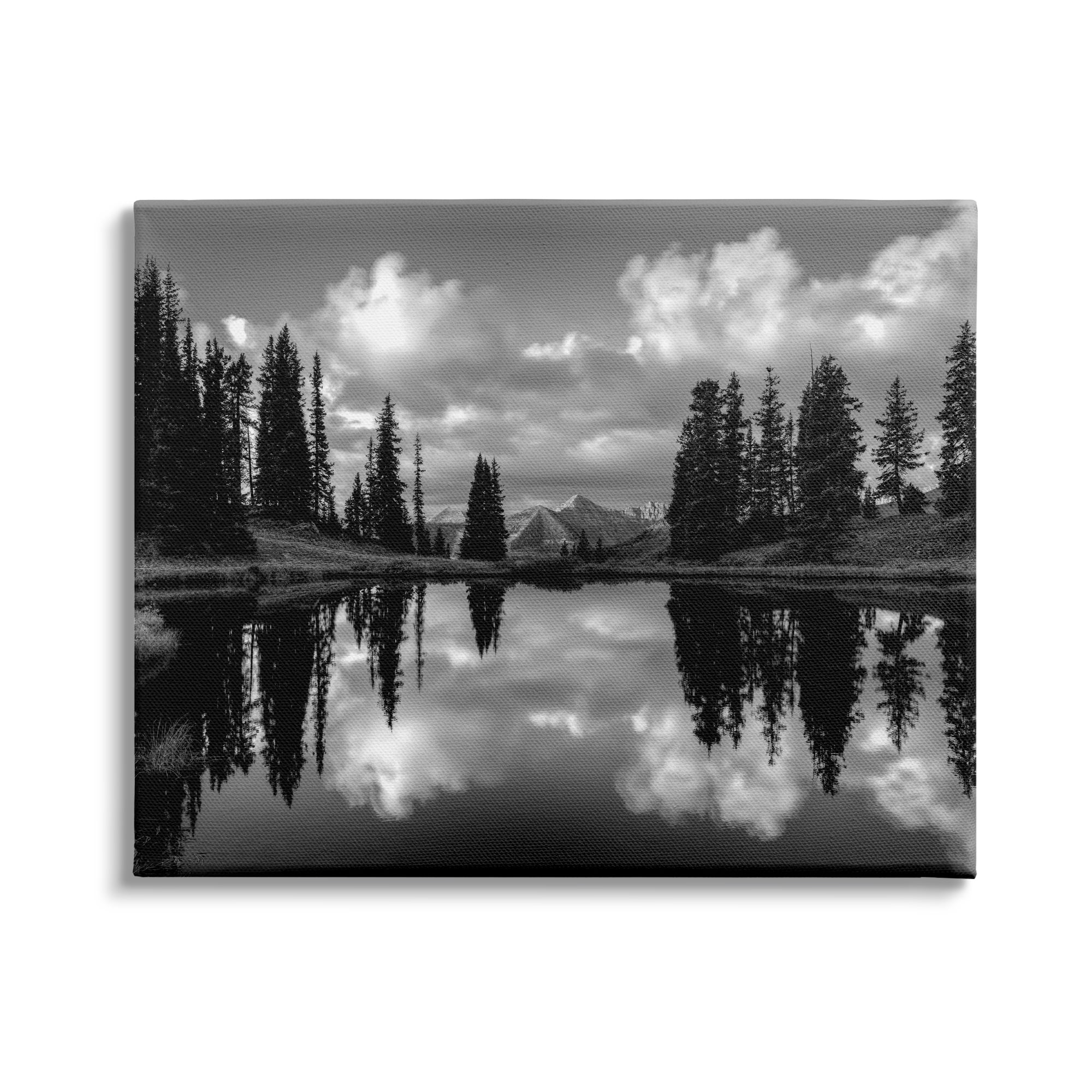 Stupell Indtries Cloudy Lake Mountain Reflection Tall Pines Photography Landscape,40 x 30,Design by J.C. Leacock