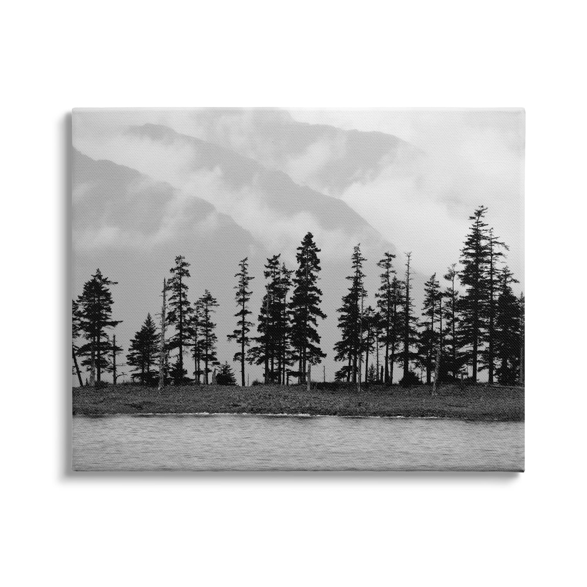 Stupell Indtries Empty Pine Tree Forest Coast Line Misty Mountains,40 x 30,Design by Savanah Plank