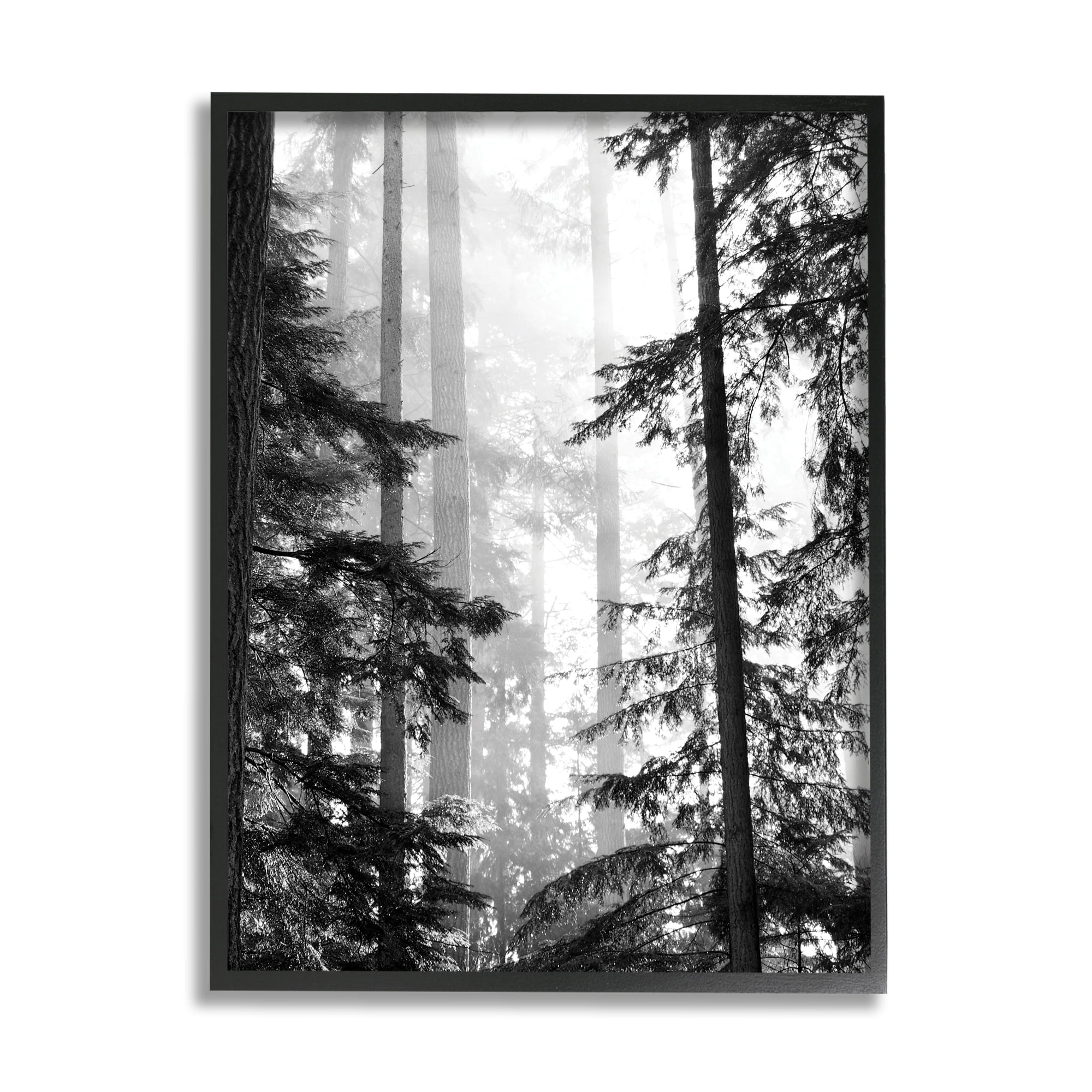 Black and White Forest Landscape Framed Print, 11 x 14